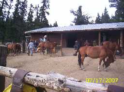 Beaubien Corral